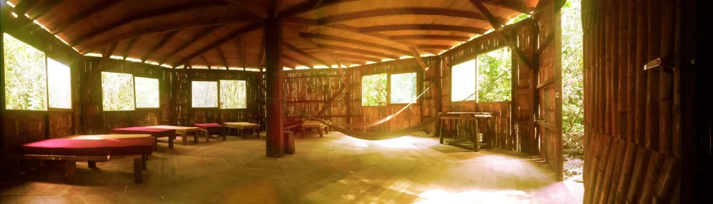 ceremonias de ayahuasca en la selva