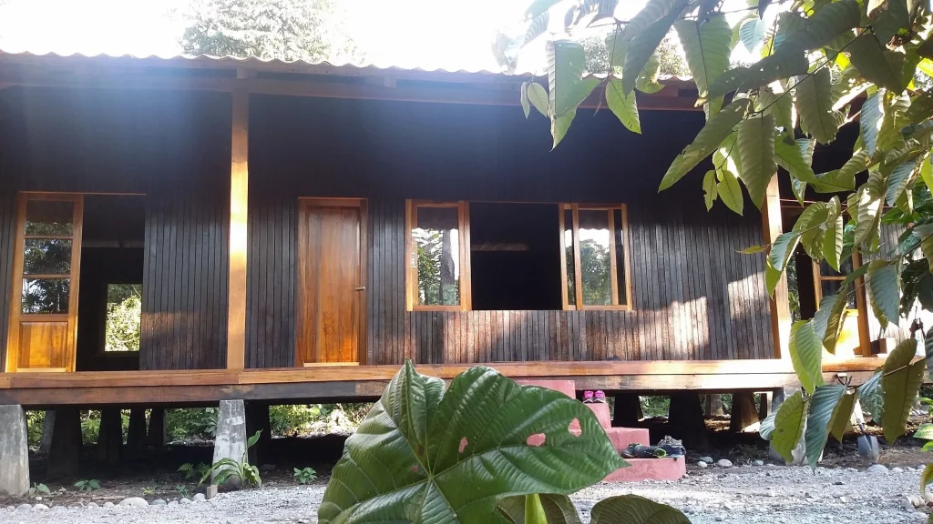 experiencia ayahuasca 